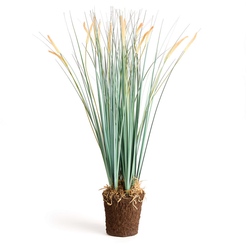 Primrue 35" Artificial Pampas Grass Wayfair